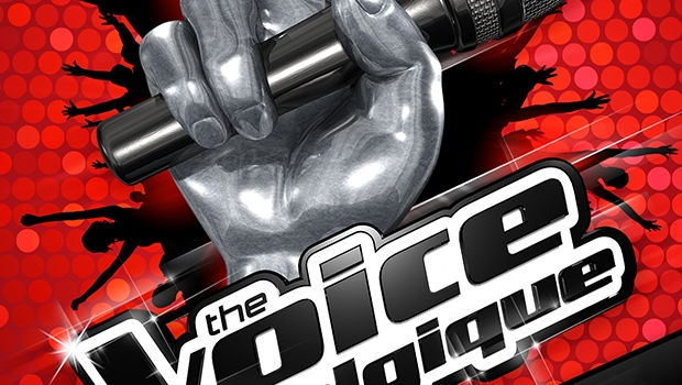 Références professionnelles: Affiche – The Voice – tour 2014